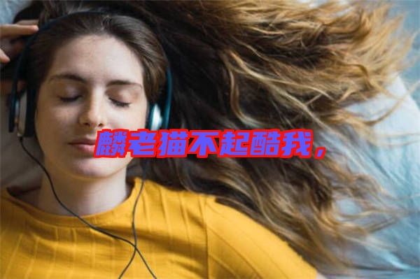 麟老貓不起酷我，