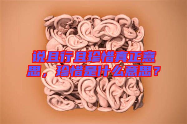 說且行且珍惜真正意思，珍惜是什么意思？