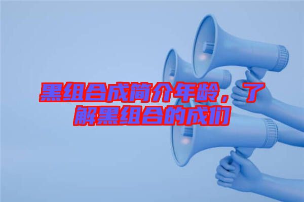 黑組合成簡介年齡，了解黑組合的成們