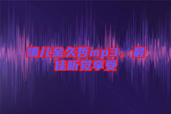 嗑兒金久哲mp3，最佳聽覺享受
