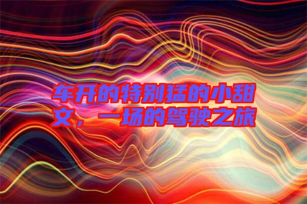 車開的特別猛的小甜文，一場的駕駛之旅