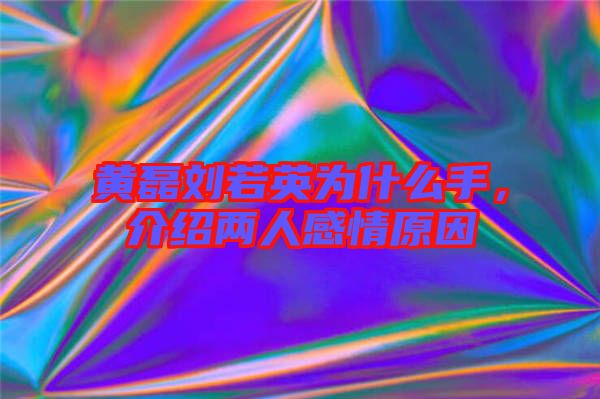 黃磊劉若英為什么手，介紹兩人感情原因