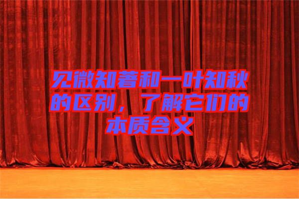 見(jiàn)微知著和一葉知秋的區(qū)別，了解它們的本質(zhì)含義