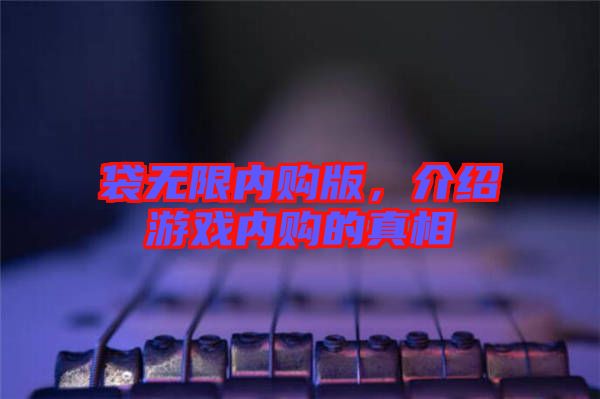 袋無限內(nèi)購版，介紹游戲內(nèi)購的真相