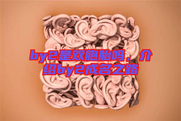 by2是雙胞胎嗎，介紹by2成名之路