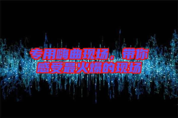 專用嗨曲現(xiàn)場，帶你感受最火爆的現(xiàn)場