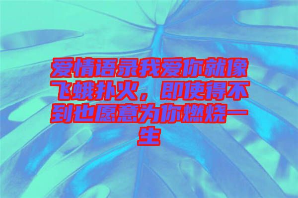 愛(ài)情語(yǔ)錄我愛(ài)你就像飛蛾撲火，即使得不到也愿意為你燃燒一生