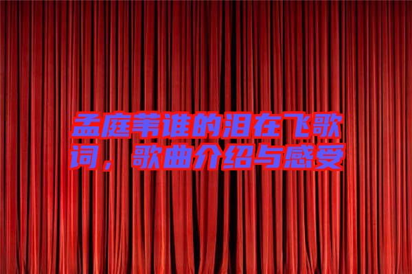 孟庭葦誰的淚在飛歌詞，歌曲介紹與感受