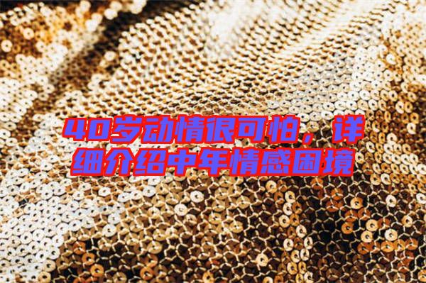 40歲動情很可怕，詳細介紹中年情感困境