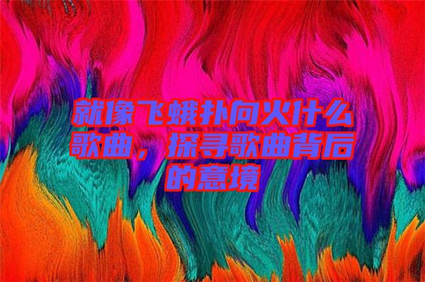 就像飛蛾撲向火什么歌曲，探尋歌曲背后的意境