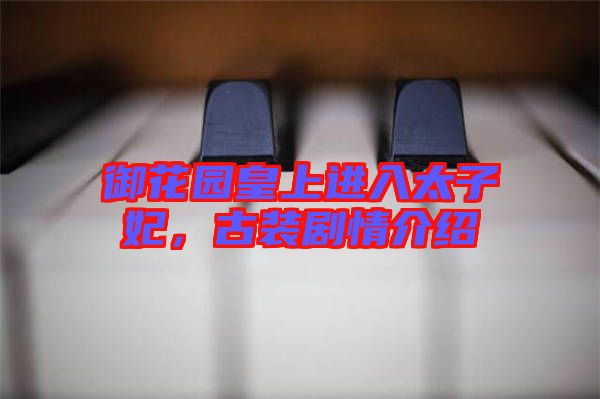 御花園皇上進(jìn)入太子妃，古裝劇情介紹