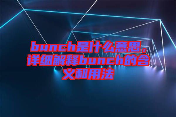 bunch是什么意思，詳細解釋bunch的含義和用法