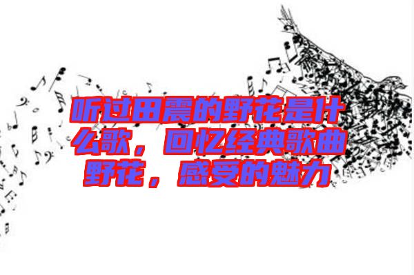 聽過田震的野花是什么歌，回憶經(jīng)典歌曲野花，感受的魅力