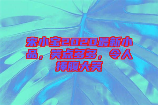 宋小寶2020最新小品，笑點(diǎn)多多，令人捧腹大笑