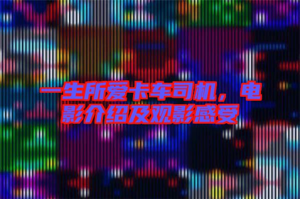 一生所愛卡車司機，電影介紹及觀影感受