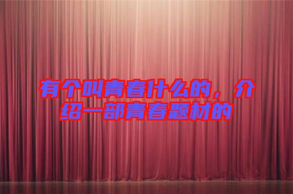 有個(gè)叫青春什么的，介紹一部青春題材的