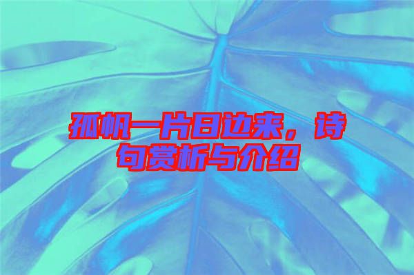 孤帆一片日邊來(lái)，詩(shī)句賞析與介紹