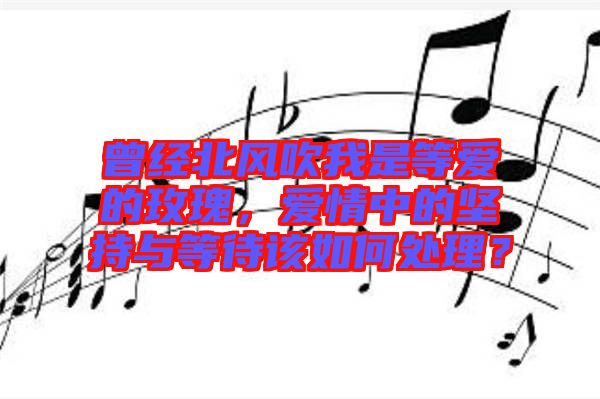 曾經(jīng)北風(fēng)吹我是等愛的玫瑰，愛情中的堅(jiān)持與等待該如何處理？