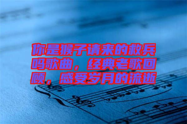 你是猴子請(qǐng)來的救兵嗎歌曲，經(jīng)典老歌回顧，感受歲月的流逝