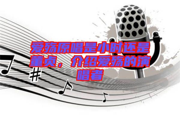 愛(ài)殤原唱是小時(shí)還是董貞，介紹愛(ài)殤的演唱者