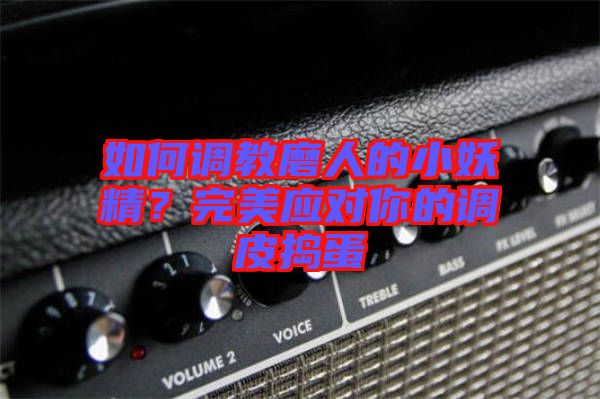 如何調(diào)教磨人的小妖精？完美應(yīng)對(duì)你的調(diào)皮搗蛋