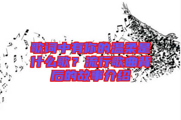 歌詞中有你的溫柔是什么歌？流行歌曲背后的故事介紹