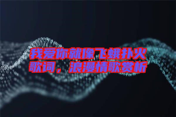 我愛(ài)你就像飛蛾撲火歌詞，浪漫情歌賞析