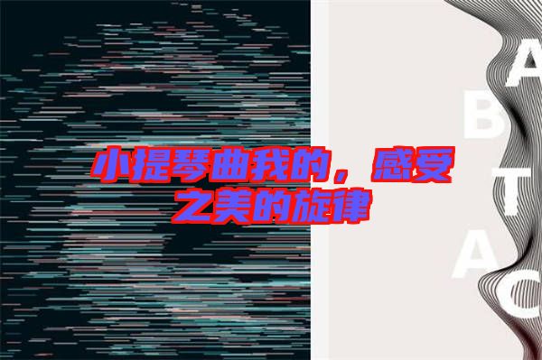 小提琴曲我的，感受之美的旋律