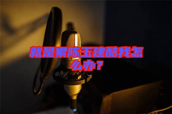 就是累陳玉建酷我怎么辦？