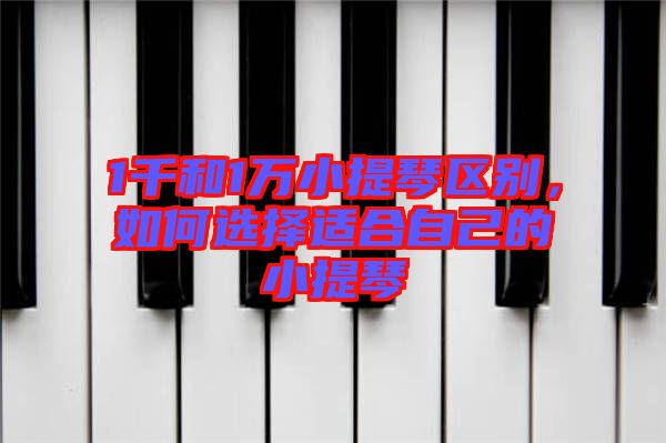 1千和1萬(wàn)小提琴區(qū)別，如何選擇適合自己的小提琴