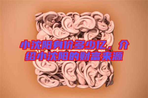 小沈陽身價多少億，介紹小沈陽的財富來源