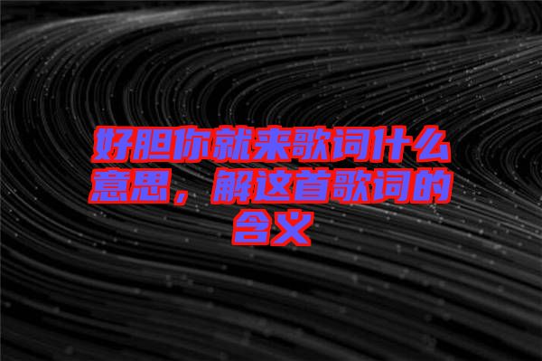 好膽你就來歌詞什么意思，解這首歌詞的含義
