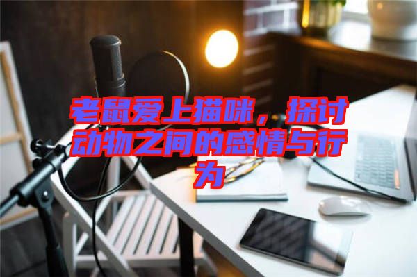 老鼠愛上貓咪，探討動(dòng)物之間的感情與行為