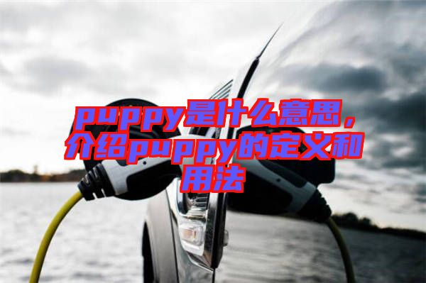 puppy是什么意思，介紹puppy的定義和用法