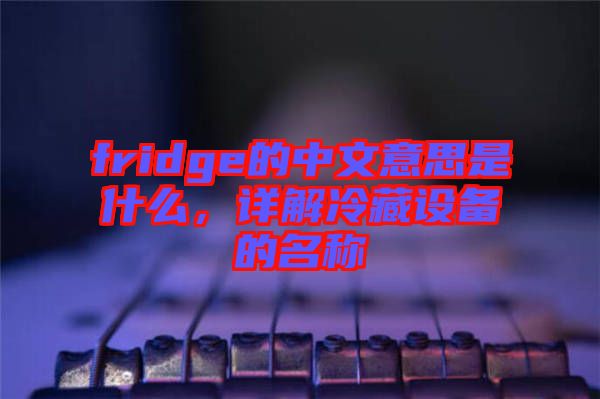 fridge的中文意思是什么，詳解冷藏設(shè)備的名稱