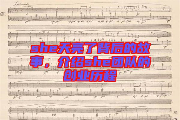 she天亮了背后的故事，介紹she團(tuán)隊(duì)的創(chuàng)業(yè)歷程