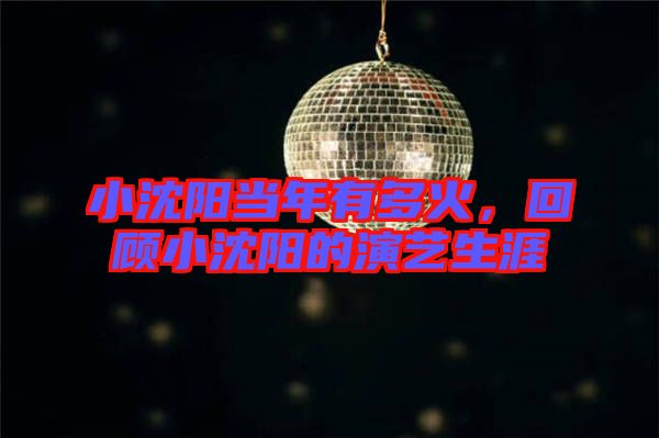 小沈陽當(dāng)年有多火，回顧小沈陽的演藝生涯