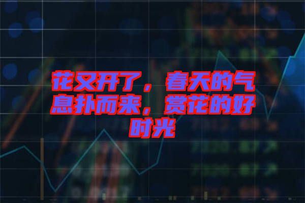 花又開了，春天的氣息撲而來，賞花的好時光