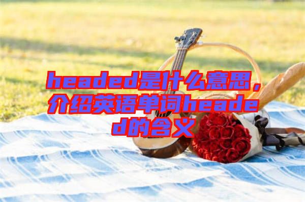 headed是什么意思，介紹英語單詞headed的含義