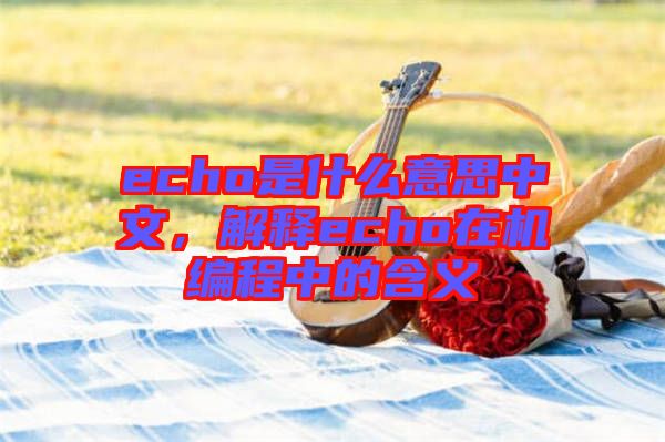 echo是什么意思中文，解釋echo在機編程中的含義