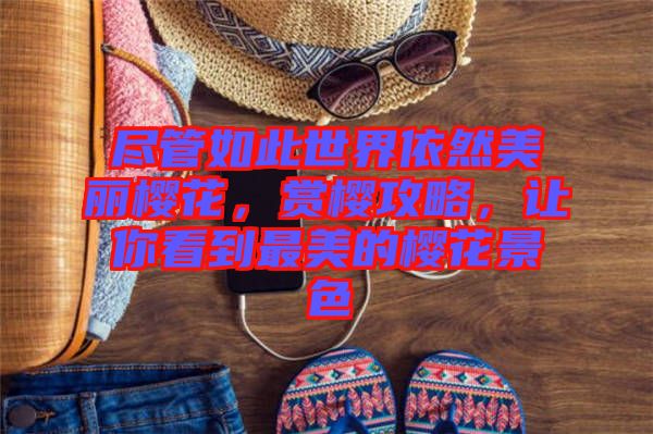 盡管如此世界依然美麗櫻花，賞櫻攻略，讓你看到最美的櫻花景色