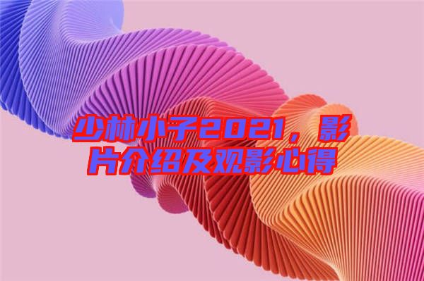 少林小子2021，影片介紹及觀影心得