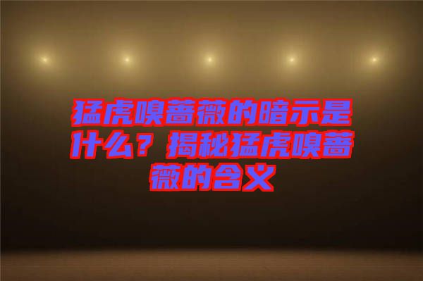 猛虎嗅薔薇的暗示是什么？揭秘猛虎嗅薔薇的含義