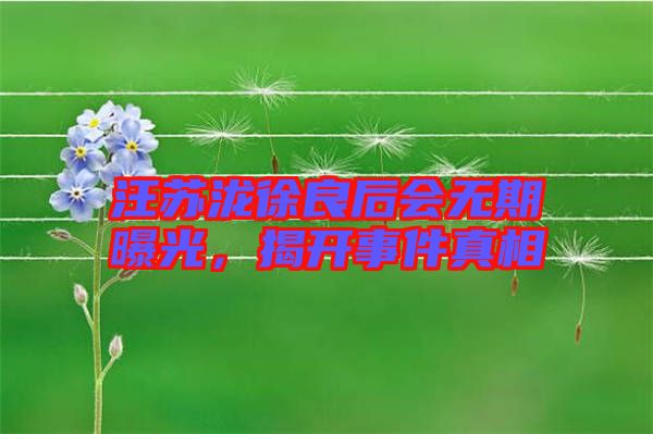 汪蘇瀧徐良后會無期曝光，揭開事件真相