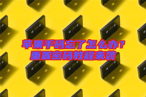 蘋果手碼忘了怎么辦？重置密碼教程來(lái)襲