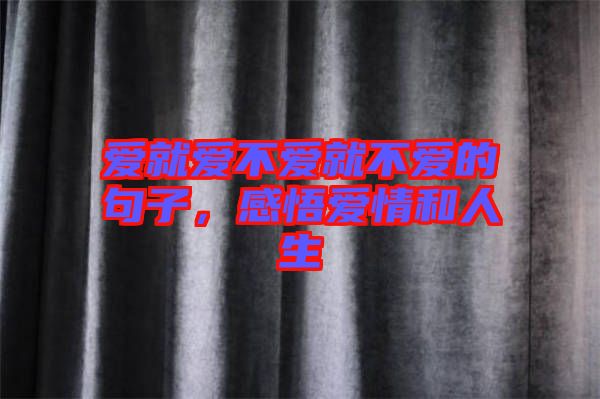 愛就愛不愛就不愛的句子，感悟愛情和人生