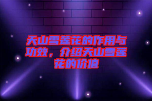 天山雪蓮花的作用與功效，介紹天山雪蓮花的價值