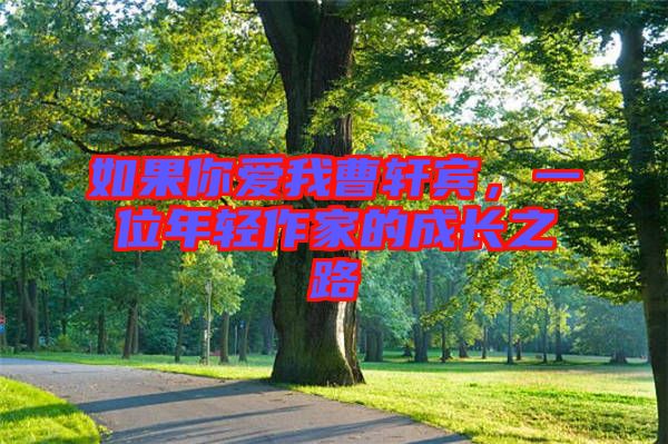 如果你愛我曹軒賓，一位年輕作家的成長之路