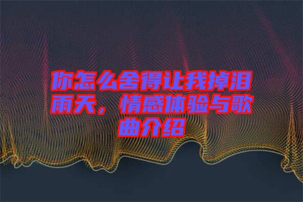 你怎么舍得讓我掉淚雨天，情感體驗(yàn)與歌曲介紹