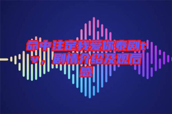 命中注定我愛你泰劇tv，劇情介紹及觀后感